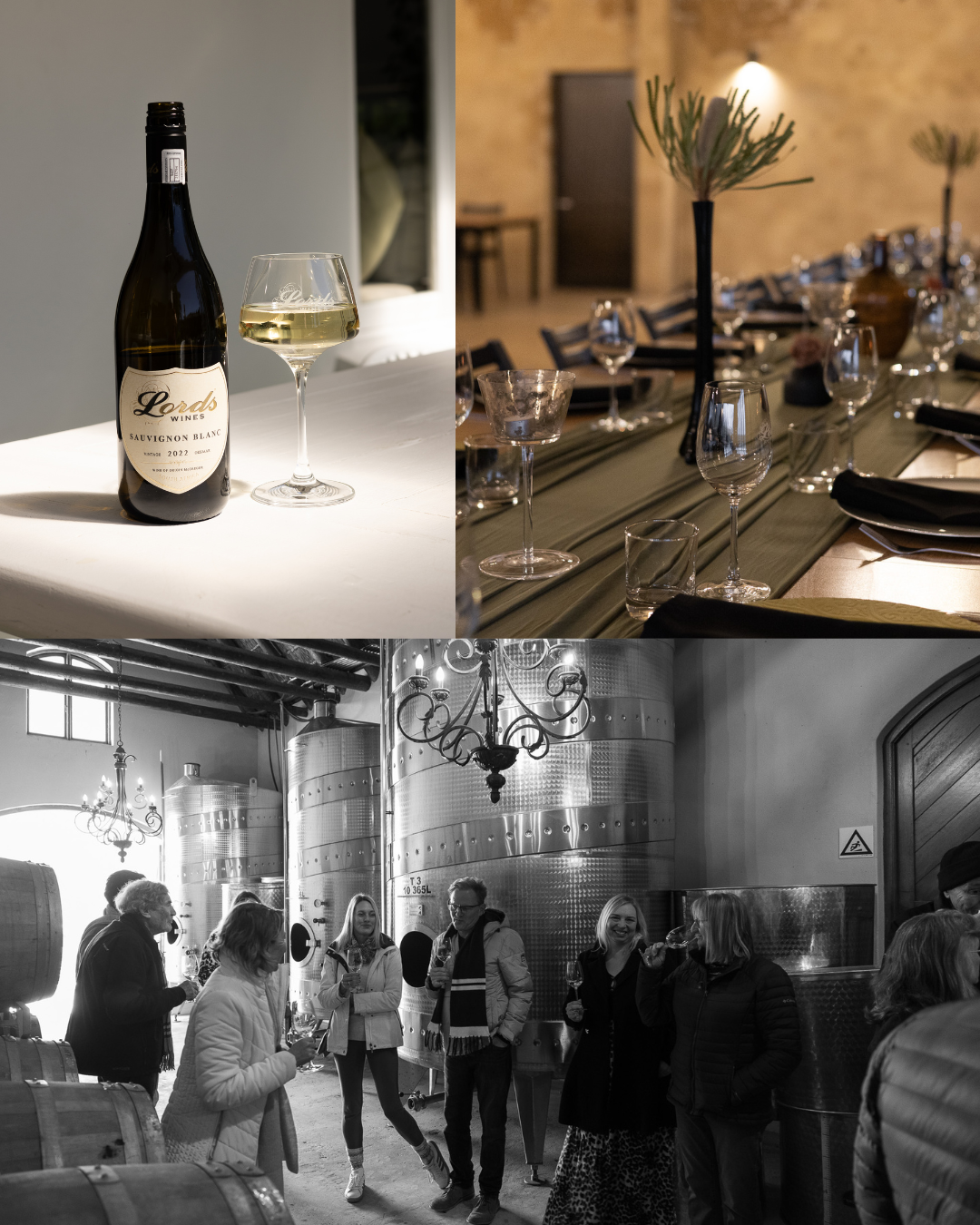 Cellar tour and dinner, Founder's Wine Club Weekend